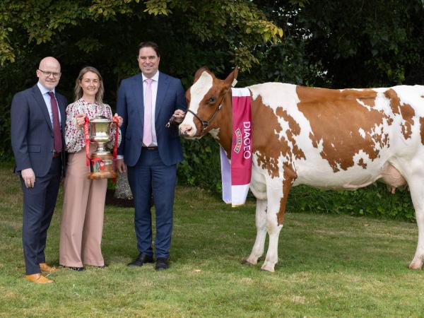 Baileys cow awards 
