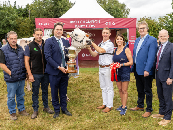 Dairy contest