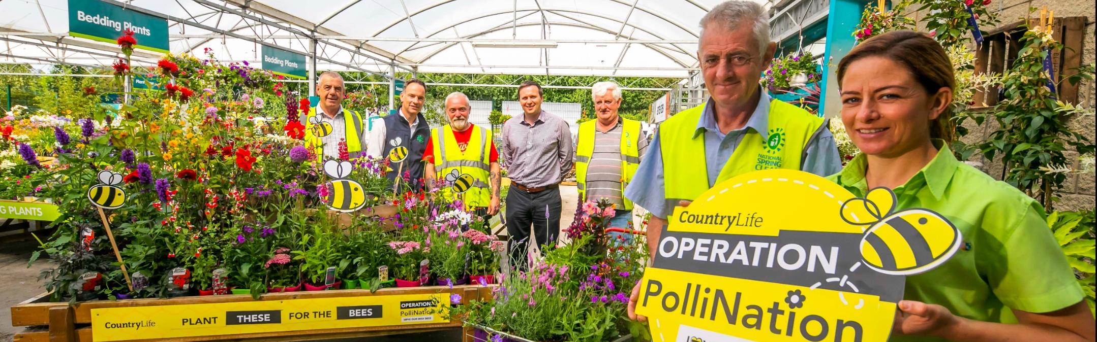 Operation Pollination Launch