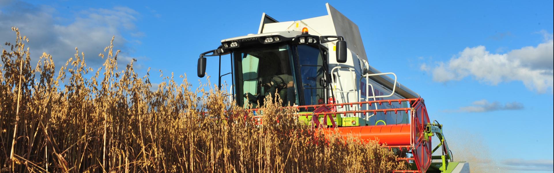 Tractor in Grain Field