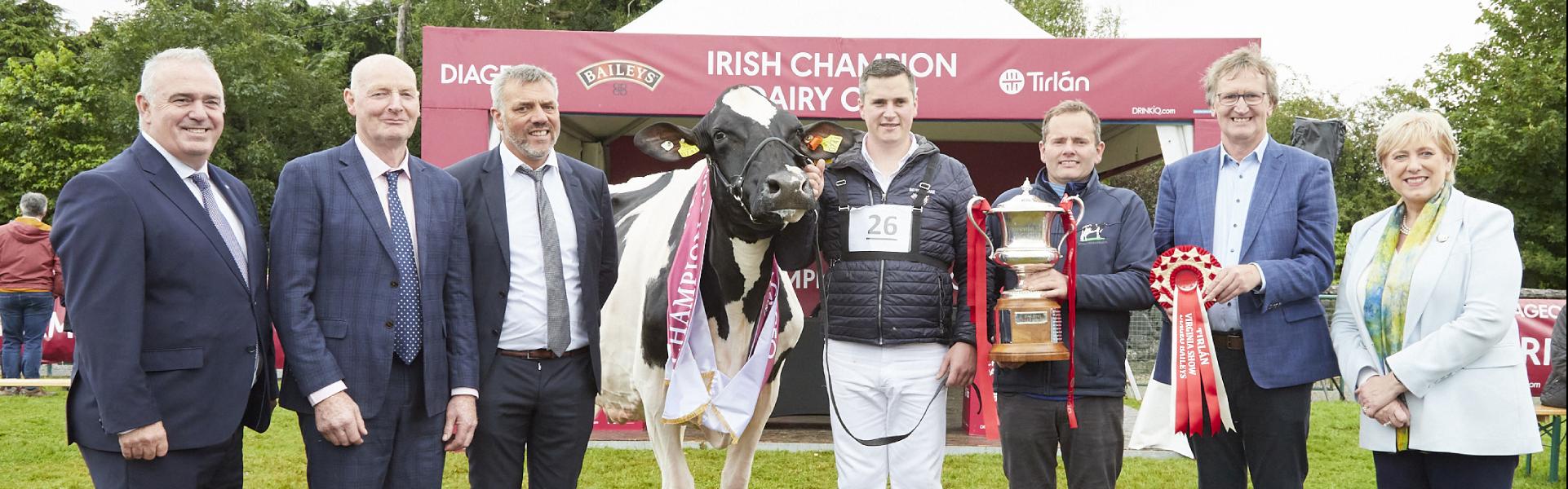 Baileys Cow event image