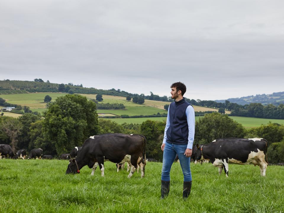 Farmer with cows